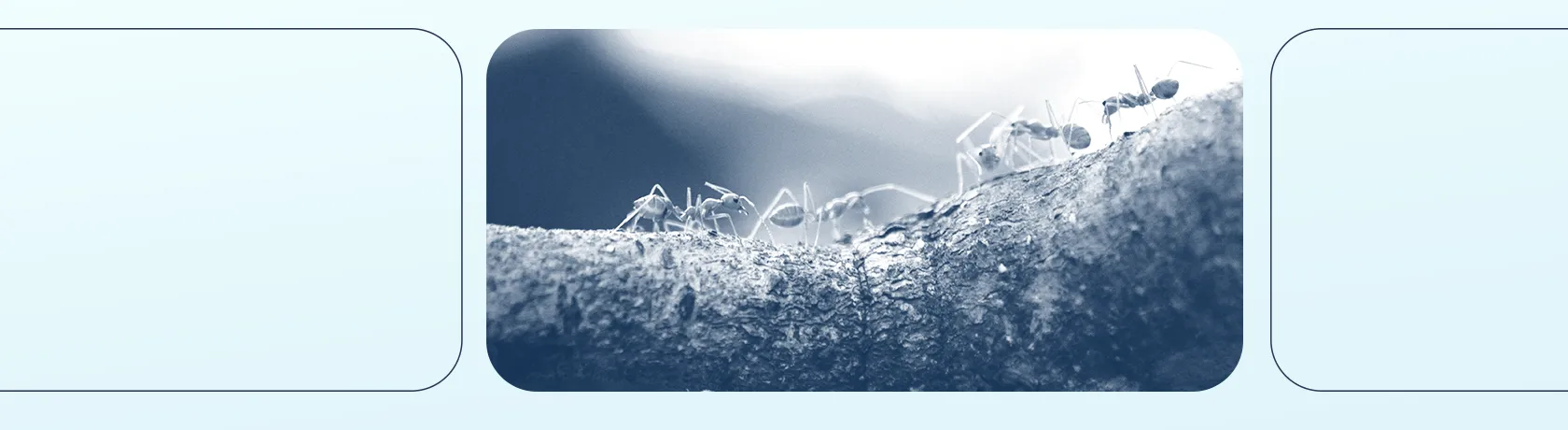 MBM adota estratégia de coinvestimento para ampliar impacto