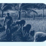 O futuro da filantropia nos territórios