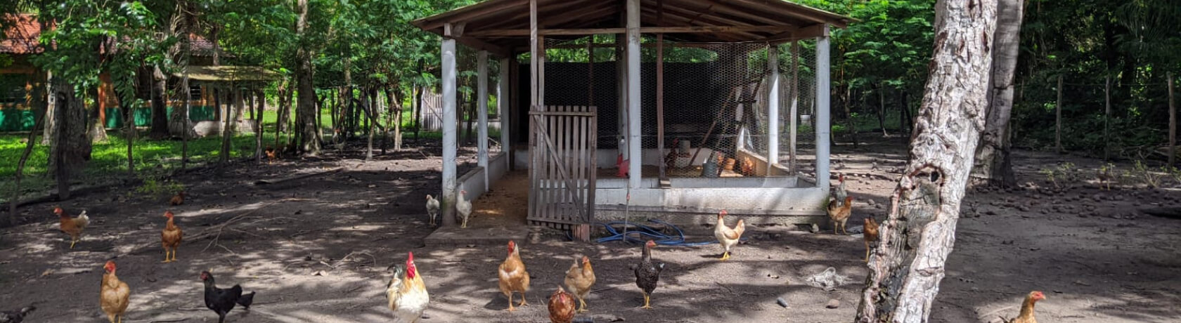 asociacion-escuela-familiar-agrícola-de-cocais-efa-cocais